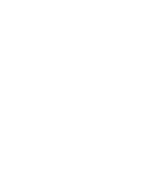 shape 11
